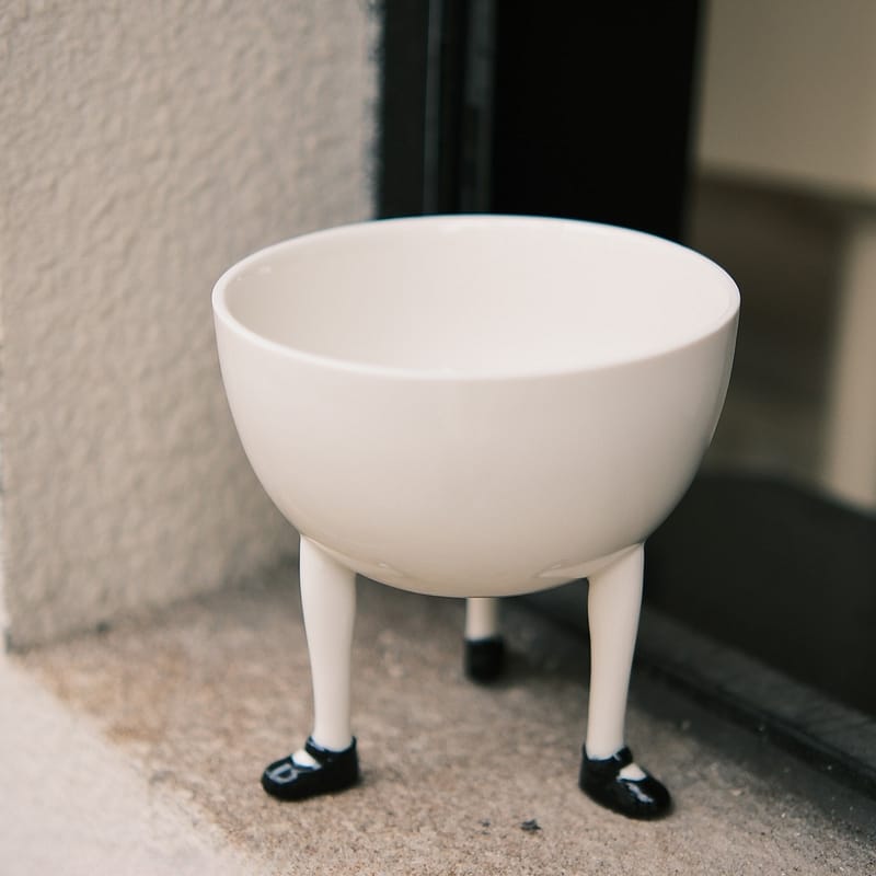 Little Dandy Legs Bowl